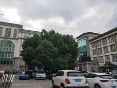 -上海市普陀区中心医院