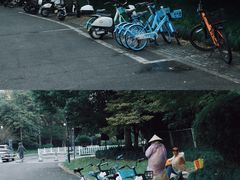 -杭州城北体育公园