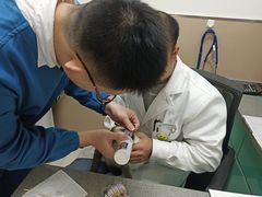 -安安宠医·臻爱宠物医院·宠保定点(营门口路分院)