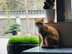 -韩家大院生态农庄