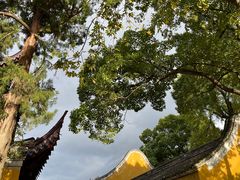 -阿育王寺