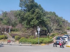 -桃花岭景区