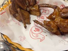 -百利鸽王(紫薇路店)