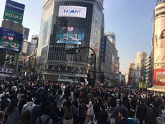 -涩谷区