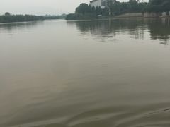-长兴太湖图影湿地文化园