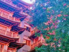 -大佛古寺