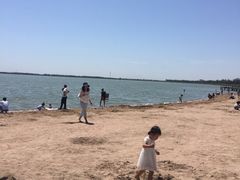 -包头南海湿地景区