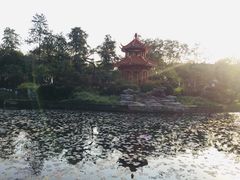 -四川大学(望江校区)