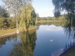 -大兴滨河森林公园