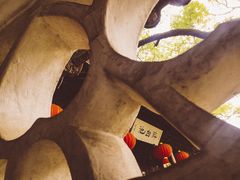 -上海醉白池公园