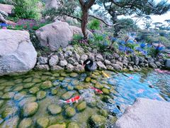 -罗红摄影艺术馆