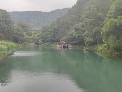 -桃花岭景区