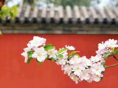 -国家植物园