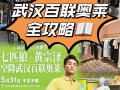-百联奥特莱斯广场(武汉盘龙店)