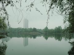 -洋湖国家湿地公园