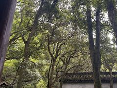 -富春桃源风景区