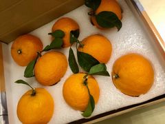 -鲜丰水果(番禺路店)