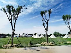 -安德鲁户外烧烤帐篷营地(马泉营店)