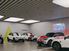 -上海浦东smart汽车全功能店(金桥店)
