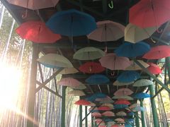 -陶祖圣境风景区