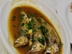 小黄鱼-温岭人家(红花北路店)
