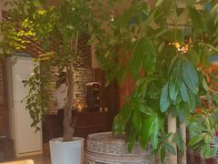 -慢丽江·云南野生菌土鸡锅(付家庄店)