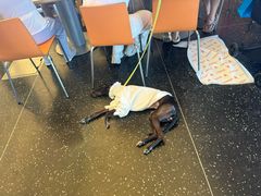 -上海新国际博览中心-P1立体停车场