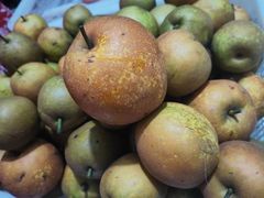 -宾湖农庄·农场特色(太湖龙之梦店)