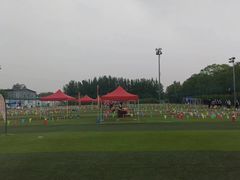 -MUFFY'S博识梦飞幼儿园(万柳园)