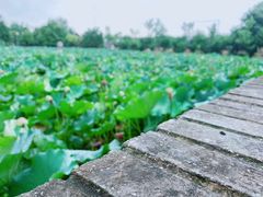 -长安上水缘度假庄园