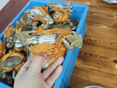 -杨记海鲜楼(三门黑金冠店)