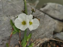 -东莞植物园