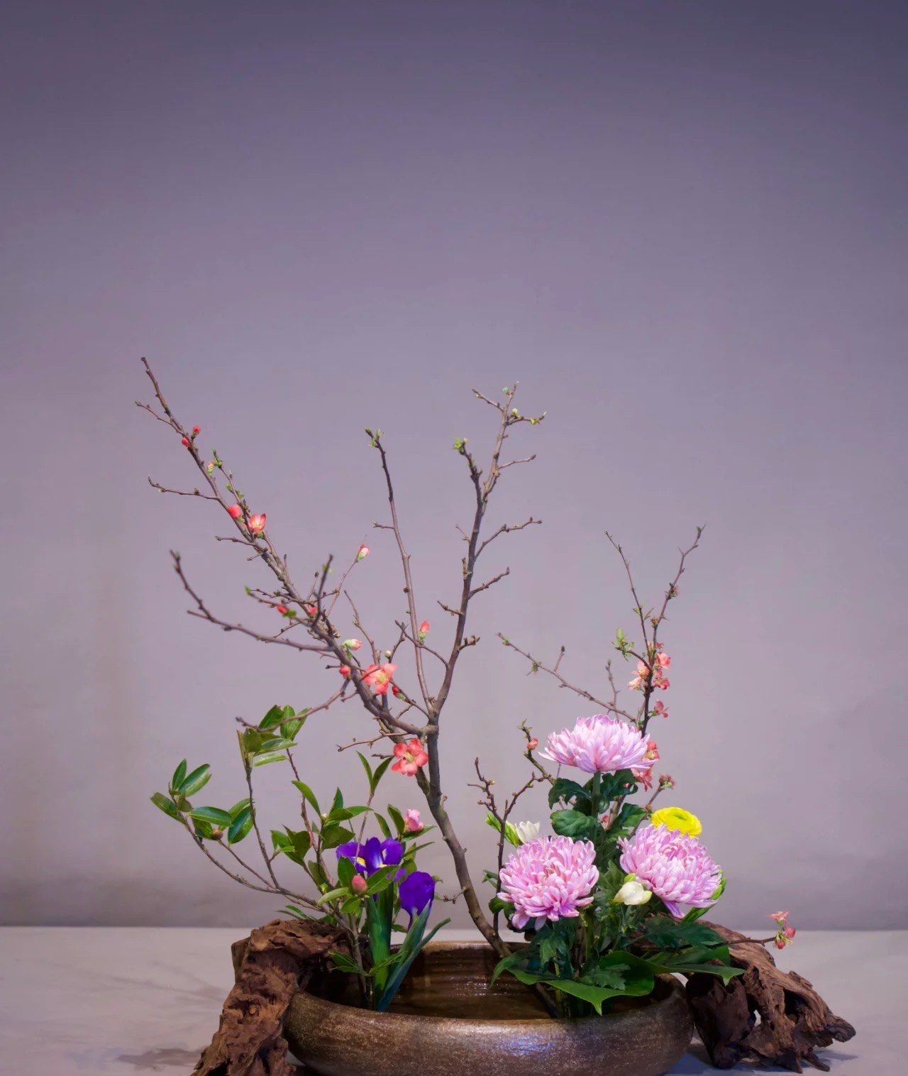 中式插花教学第一课 盘花