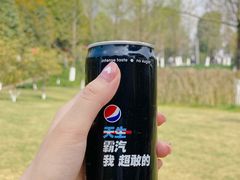 -重庆中央公园(渝北区)