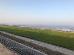 -南汇嘴观海公园
