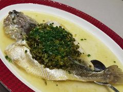 -圆苑(静安寺店)
