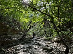 -龙洞风景区-藏龙涧