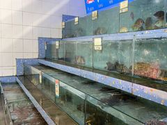 -锐记美食店·现捞海鲜(闸坡店)