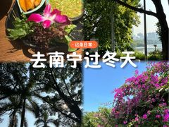 -南宁南湖公园