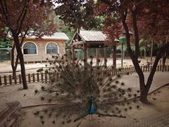 -郑州中国绿化博览园