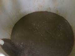 -100蛋泥浆浴