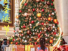 -王府半岛酒店