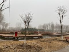 -东郊湿地公园