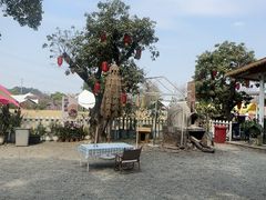 -长洲岛都市农业公园