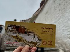 -布达拉宫