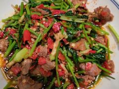 香菜炒牛肉-壹盏灯(蚂蚁工房店)