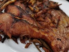 -协和菜馆(凤凰街店)