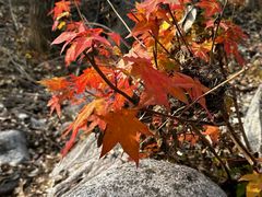 -玉渡山自然风景区