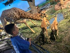 -国家自然博物馆