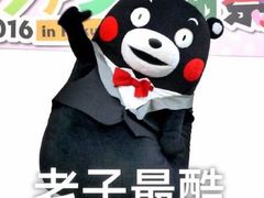 -如意香辣鸡架(总店)